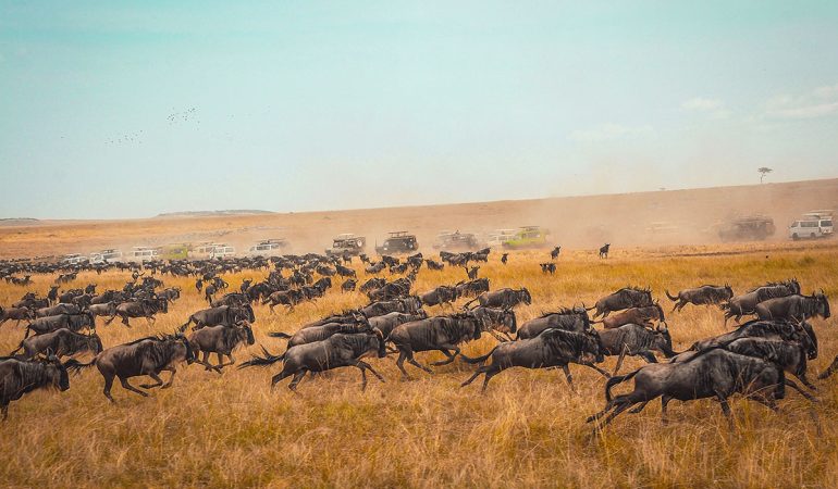 4 Days | 3 Nights: Lake Naivasha, Lake Nakuru & Maasai Mara safari